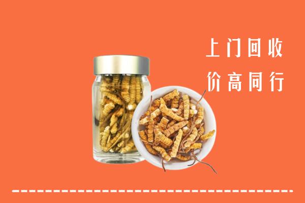 徐州回收冬虫夏草